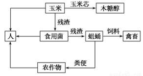 解析生態(tài)農(nóng)業(yè)示意圖 哪個說法不正確？